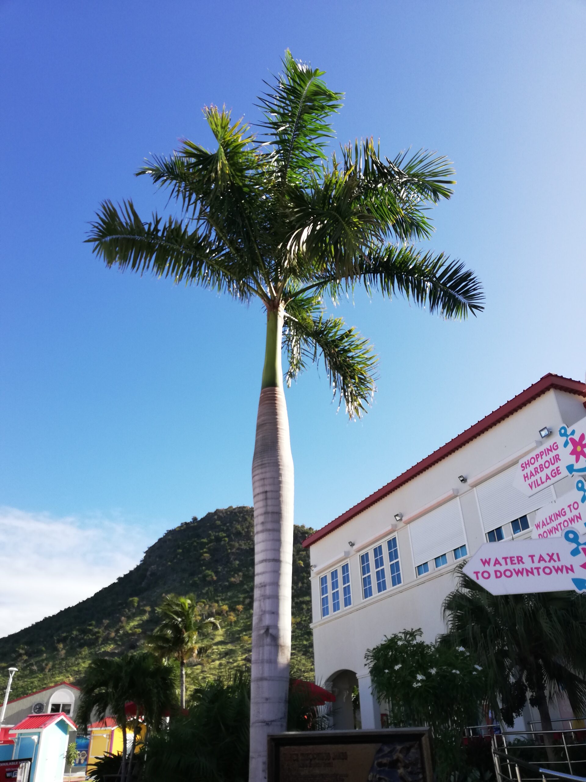 Sint Maarten with Autistic Children