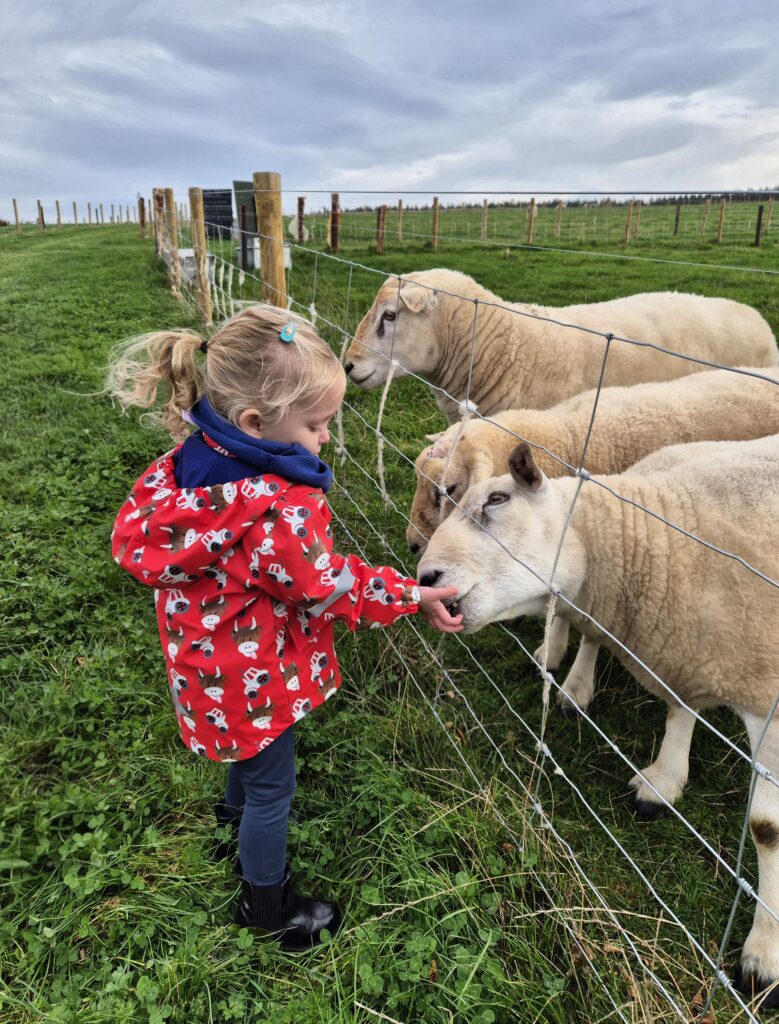 Jacksons at Jedburgh review farm visit Scotland