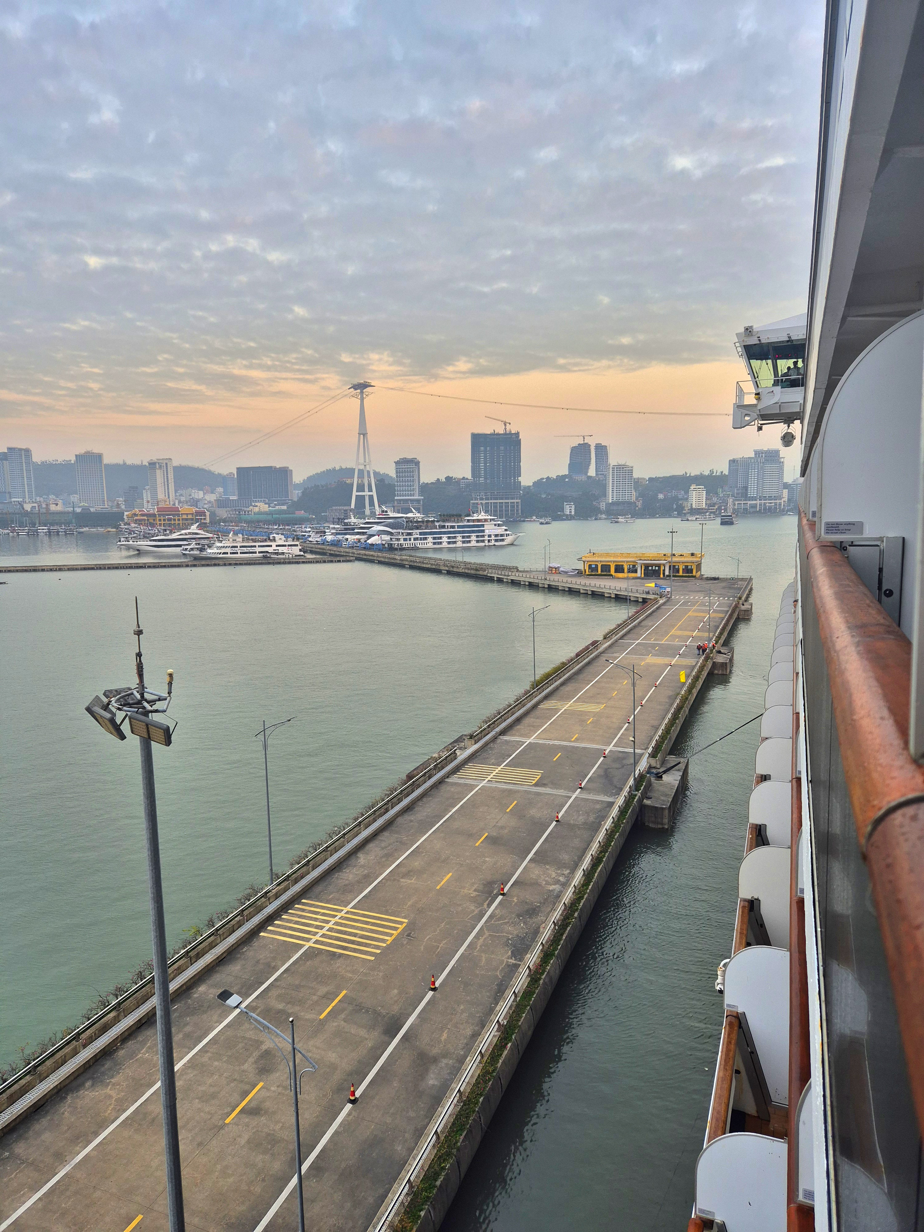 Cruise Lines Disability Support: Disability Contact Guide