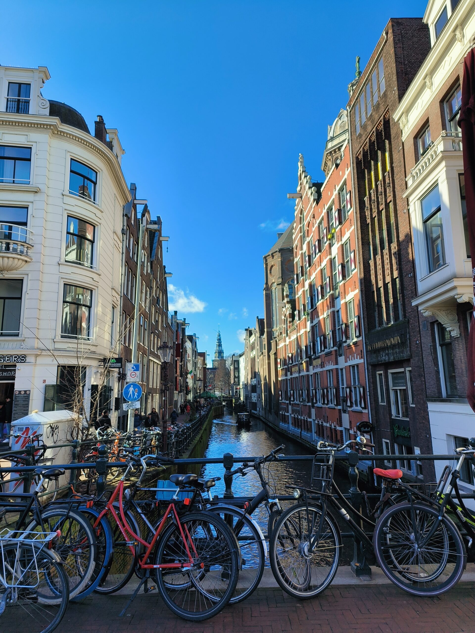 Accessible Transport in the Netherlands