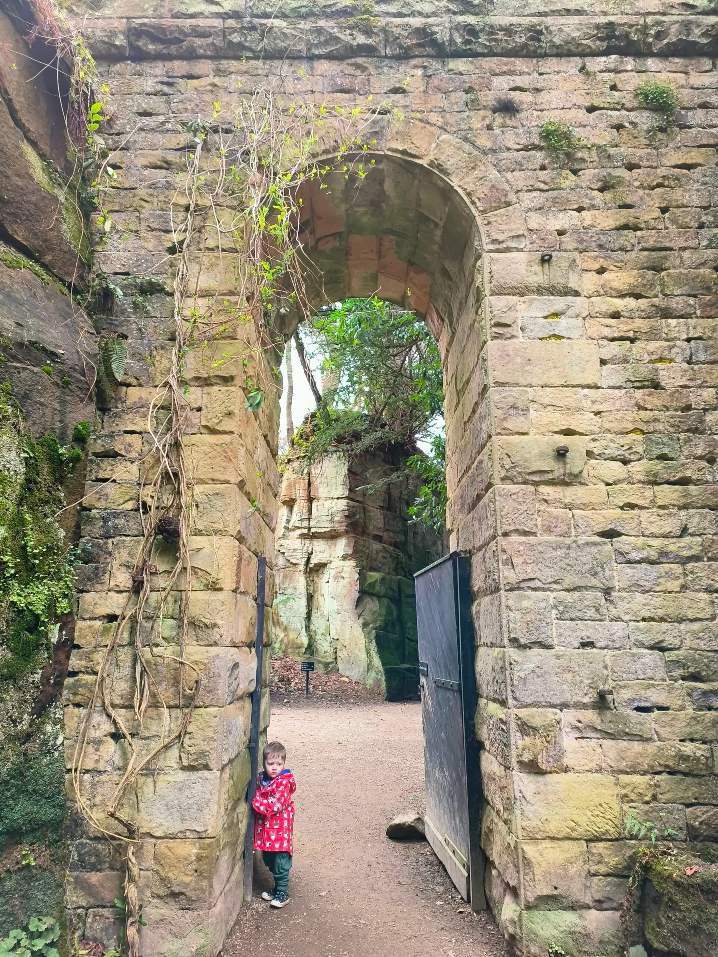 Accessible transport in England